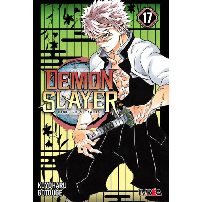 DEMON SLAYER KIMETSU NO YAIBA 17